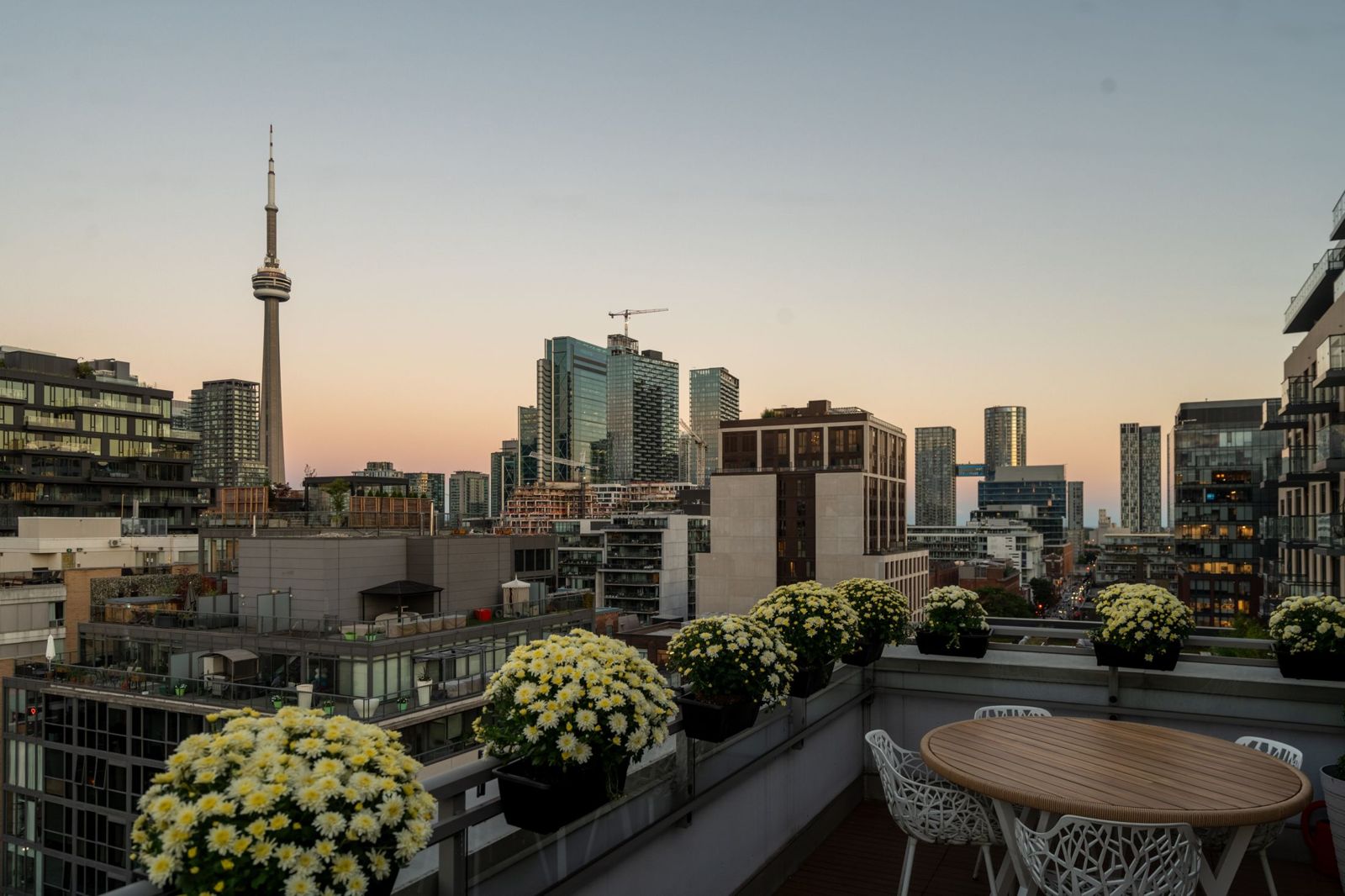 Rooftop terrace at dusk, Portland Street Terrace